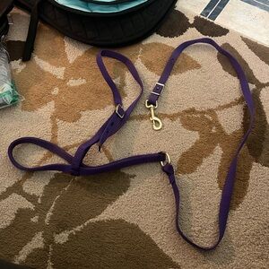 Purple nylon horse tie down